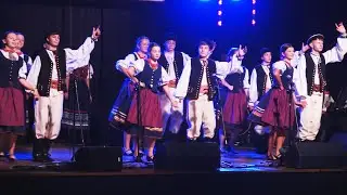 25 lat ŁZPiT Łastiwoczka / 25 років ЛАПіТ Ластівочка