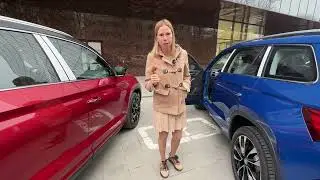 Китайская Шкода. Лиса рулит
