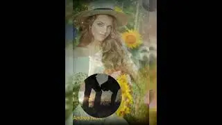 Animiertes Video