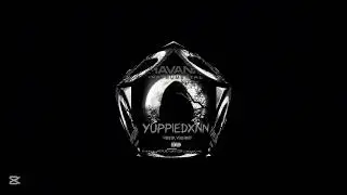 YUPPIE DXNN - VIBES UP, VIBES RIGHT (OFFICIAL AUDIO) |HAVANA RIDDIM 