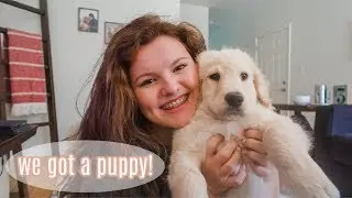 WE GOT ANOTHER GOLDENDOODLE PUPPY // Getting A Second Dog Q&A :)