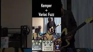 Variac Fuzz + Deco + Kemper + Beer = Ecstasy #shorts