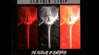 LEAETHER STRIP - 