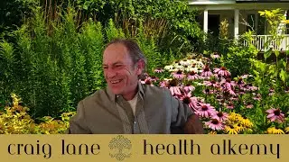 Welcome to Health Alkemy!