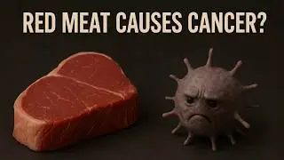 Red meat, Processed meat, and Cancer risk