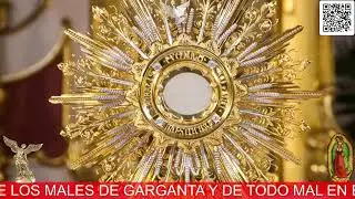 Martes, 03 febrero 2026. Rosario con Oración de Intercesión para Sanación y Liberación Interior
