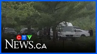 London man pleads guilty in 2020 shooting death, claims no motive