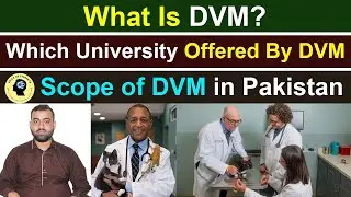 What is DVM? Which University Offered By DVM || Scope of DVM in Pakistan