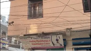 Humhare offc ke vha bandaro ka atank 😁😂👌🏻👍🏻💯 #youtube #youtuberslife #youtuber #vlog #vlogs 