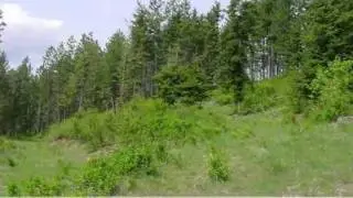 Steinpreis, Post Falls, ID 83854