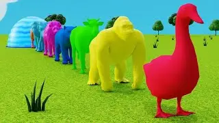 wild animal cartoon | choose the right key | choose the right key with gorilla mammoth tiger Duck