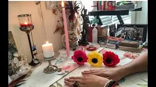 Why Are They Silent?😏💘 Pause Situation, What's On Their Mind? Pick a Card Tarot Love Reading