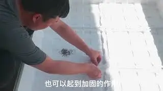 看到很多人用保丽龙做鱼池，有些心动，我也来试一试