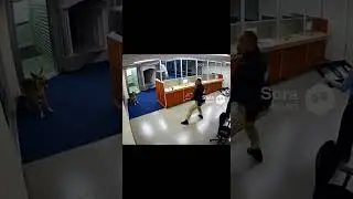 Man Dodges Dog in Last Second Escape | CCTV | 남성, 마지막 순간 개를 피함