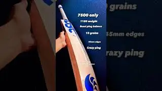 Dsc blu cricket bat review #cricketgear #cricketshop #cricketbatreview #cricketstore #cricketshorts