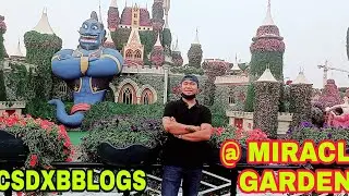 MIRACLE GARDEN IN DUBAI UAE #ricsdxbblogs adventures
