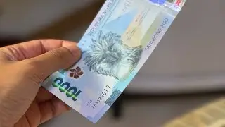 Vlog 1 moneyhunt