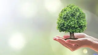 Sustainability Video