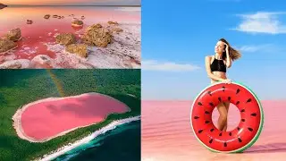 Magical Pink Lake !!!  ( Lake Hillier - Australia - Documentary  )