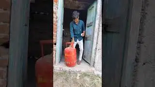 Happy diwali 🪔.........😁#ThaiShorts  #AvaTiger  #ThailandViral  #Golden  #CuteAnimals #ViralVideo