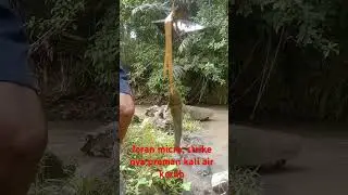 bantu di subscribe dan like ya temen2, thanks #spotmancingdibali #bali #mancingmaniabali