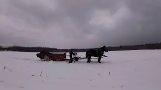 Spreading Manure Part 1