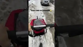What nap time looks like in Canada #shorts
