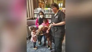 Miniature therapy horses come to Highland Park Library