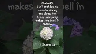 Peace & Rest #dinaradica @Dinaradica-films #Bible #God #Christians