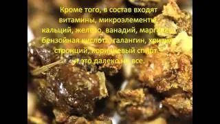 Прополис чудо природы