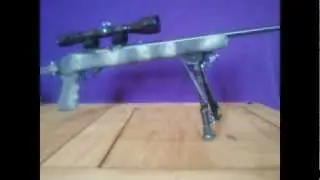 Ruger 10 .22 and Stevens 200 .223