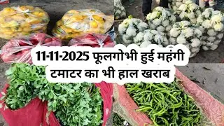11 November 2025 फूलगोभी हुई महंगी टमाटर का भी हाल खराब | Ajmer sabji mandi live update |