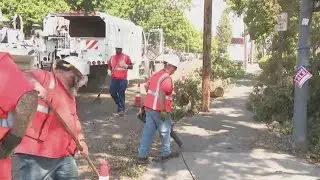 Student recounts a tree going down on campus almost hitting students