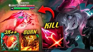 Briar Tank Is Too Good