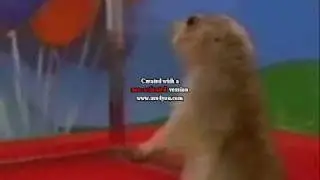 Stoked Groms Gone Wild Alternate Ending 2