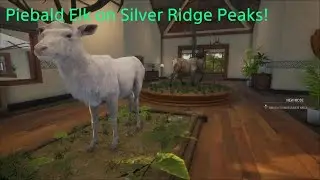 Rare Elk on Silver Ridge Peaks! theHunter: Call of the Wild