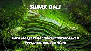 Mengenal teknik Subak: Warisan Leluhur Bali yang Menyelamatkan Pertanian Masa Kini
