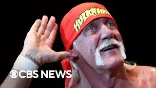Hulk Hogan's impact on professional wrestling