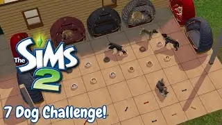 Barking Mad! 7 Dog Challenge The Sims 2!