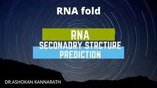 RNA secondary Structure Prediction