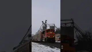 Solo BNSF ACe #train #shorts