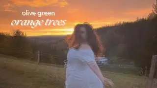 olive green - orange trees (lyric video)