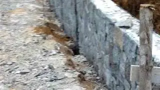 P1020121