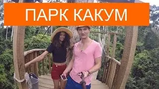 Путешествие в Гану 7. Какум/Ghana trip 6. Kakum national park