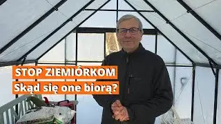 ​Ziemiórki – cisi zabójcy roślin. Cykl życia, profilaktyka i zwalczanie. Co działa na nie i polecam.