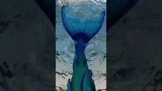 A mermaid swimming through your feed. #shorts
