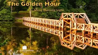 The Golden Hour | Using Morning Light