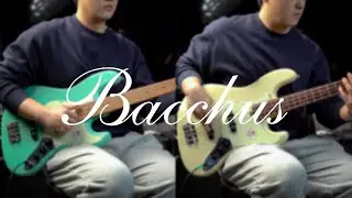 Bacchus Universe Series BJB-1-RSM Bass Model Review (No Talking)