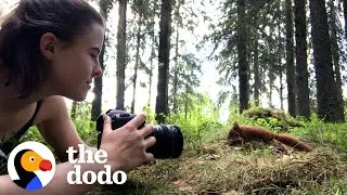 Girl Raises Four Orphaned Baby Red Squirrels In The Middle Of The Forest | The Dodo Wild Hearts