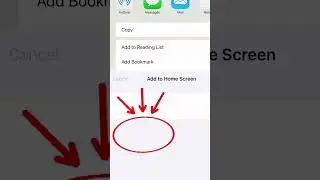 Bark and Beauty - Progressive Web App